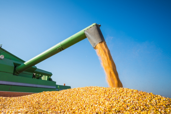 湖南。杭哟笈┗固Χ，加快粮食烘干能力建设