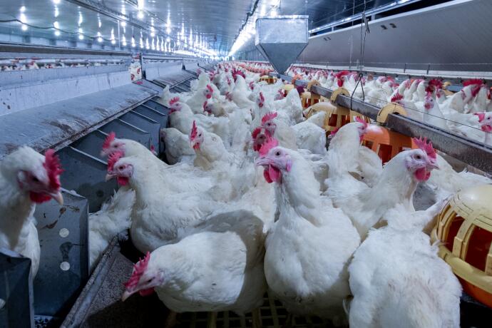 2025年海南畜牧水产养殖机械化技术培训班在文昌举办 推进产业转型升级