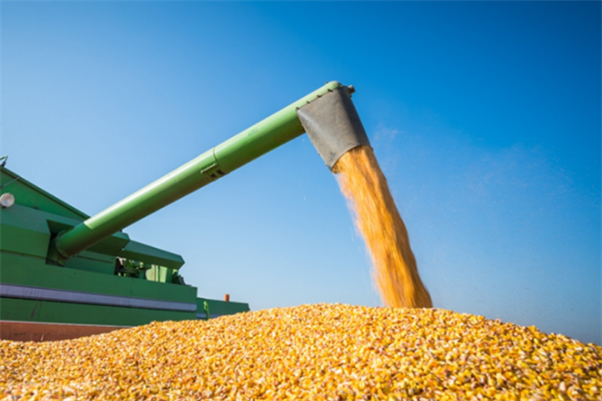 2025年全國農業農村廳局長會議在京召開