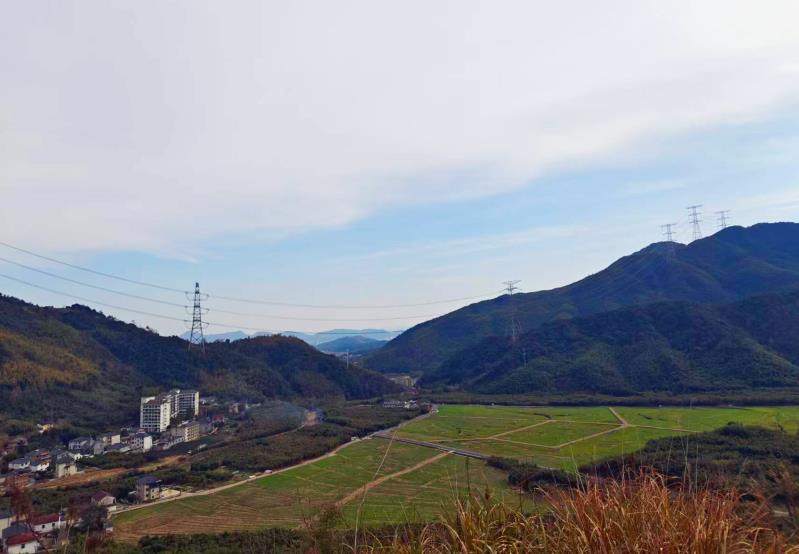 中央財(cái)政統(tǒng)籌安排12.5億元 積極支持冬小麥促弱轉(zhuǎn)壯