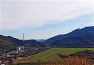 中央財(cái)政統(tǒng)籌安排12.5億元 積極支持冬小麥促弱轉(zhuǎn)壯