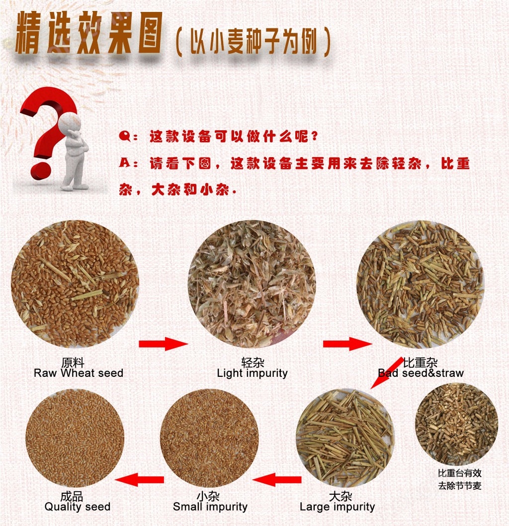 小麥水稻大型復(fù)式精選機(jī)